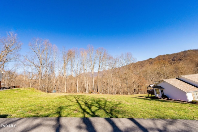 0 Moccasin Hills Dr, Gate City, VA 24251 - photo 25