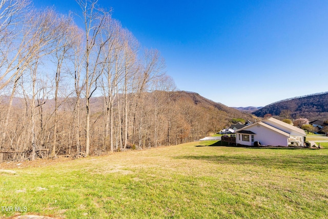 0 Moccasin Hills Dr, Gate City, VA 24251 - photo 2