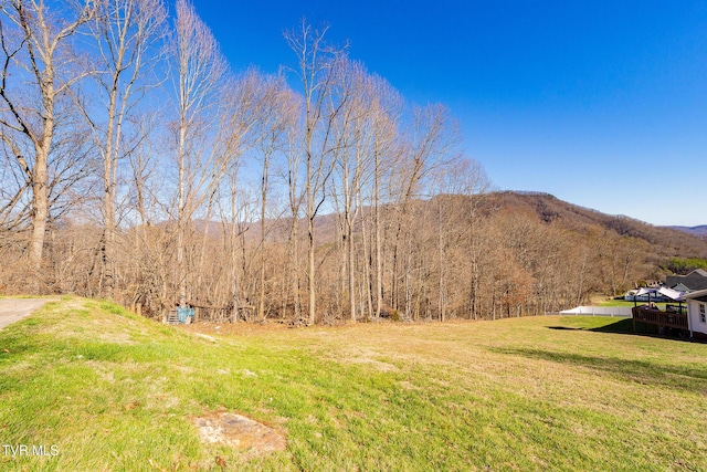 0 Moccasin Hills Dr, Gate City, VA 24251 - photo 27