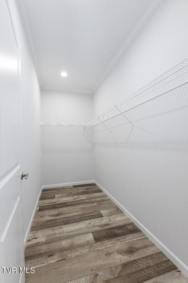 walk in closet with wood finished floors