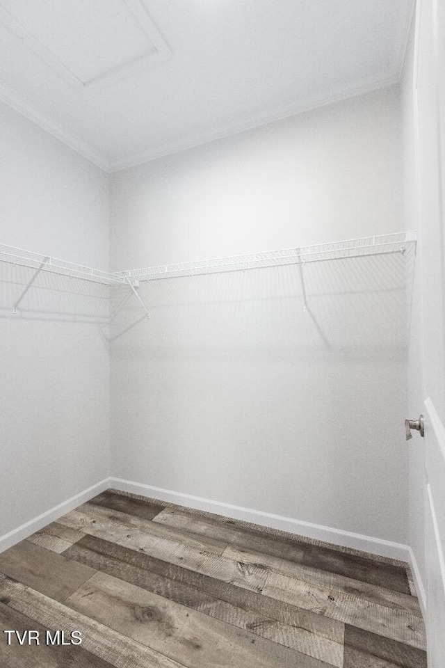 walk in closet featuring wood finished floors