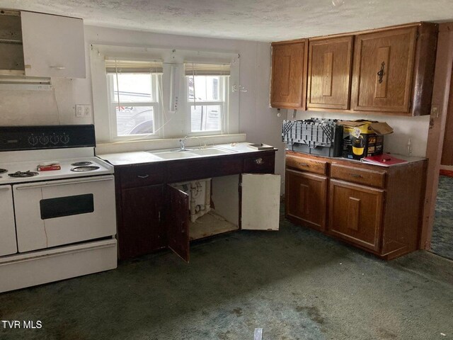 329 Cypress St, Mount Carmel, TN 37645 - kitchen with brown cabinetry, a sink, a textured ceiling, white electric range, and dark carpet
