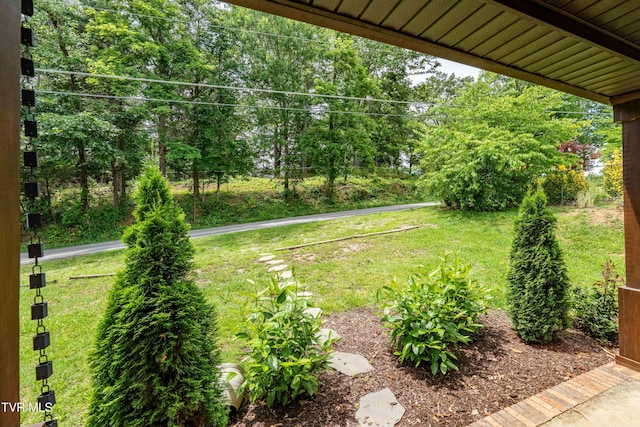 1212 Rocky Hollow Rd, Jonesborough, TN 37659 - view of green lawn with view of wooded area
