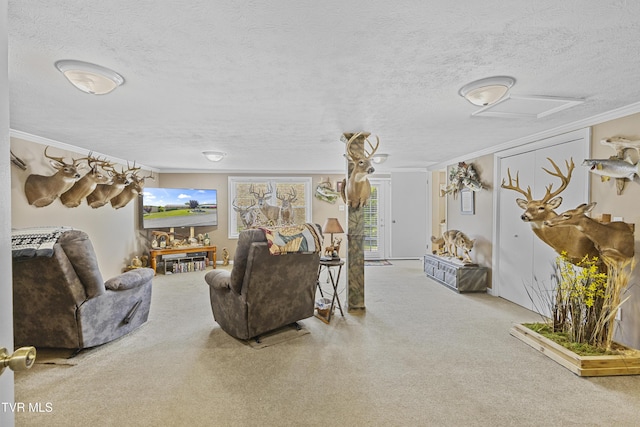 carpeted living room with a textured ceiling and ornamental molding