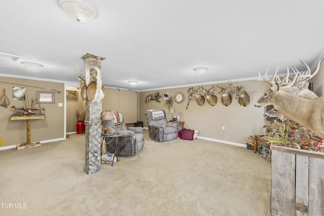 interior space with baseboards, carpet, and crown molding