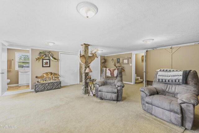 carpeted living room featuring baseboards and a textured ceiling