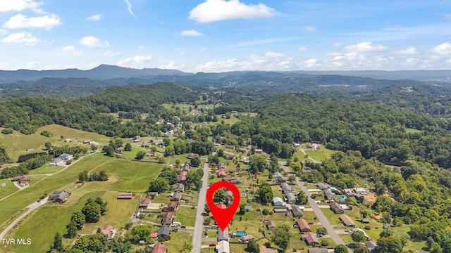 birds eye view of property with a mountain view and a view of trees