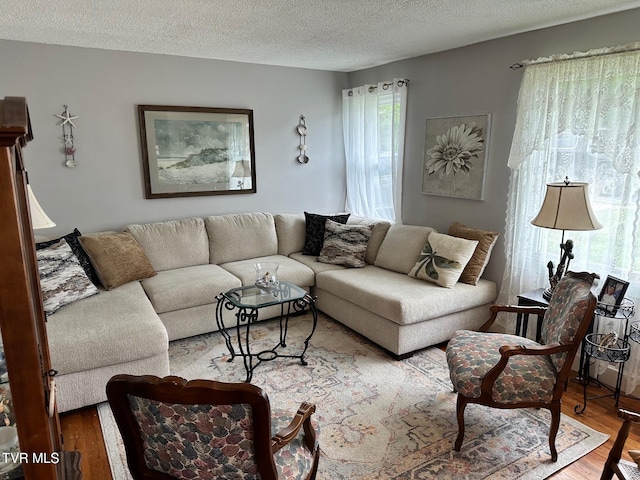 109 Chestnut St, Greeneville, TN 37745 - living area featuring a textured ceiling and wood finished floors