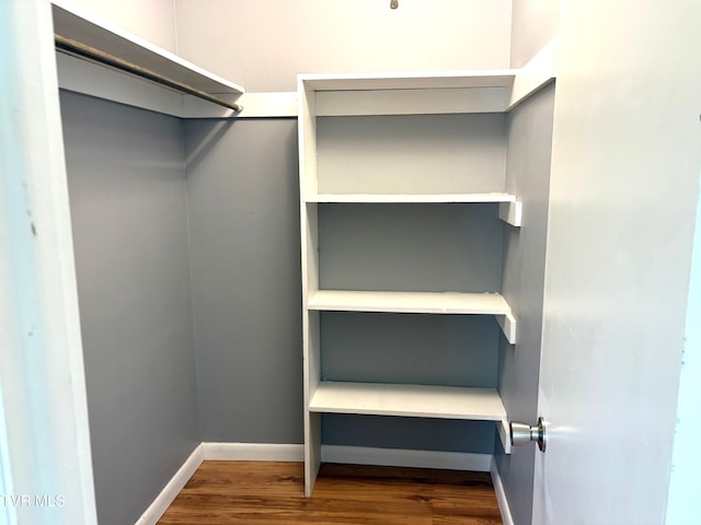 spacious closet with dark wood-type flooring