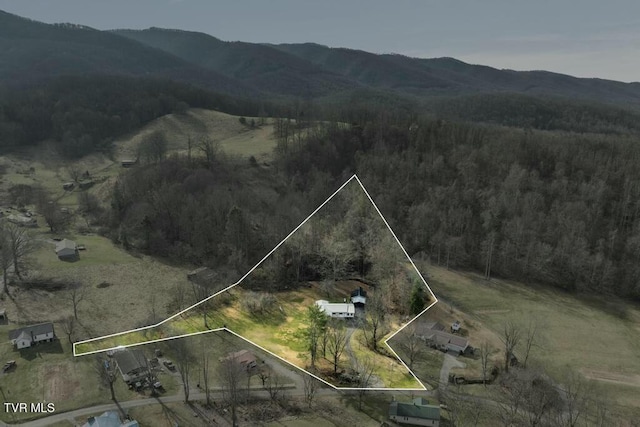 113 Ensor Nidiffer Rd, Elizabethton, TN 37643 - photo 3