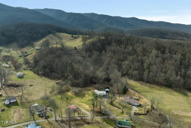 113 Ensor Nidiffer Rd, Elizabethton, TN 37643 - photo 28