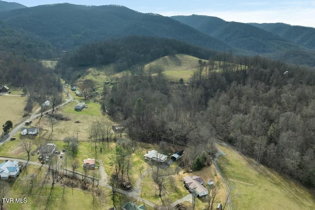 113 Ensor Nidiffer Rd, Elizabethton, TN 37643 - photo 29