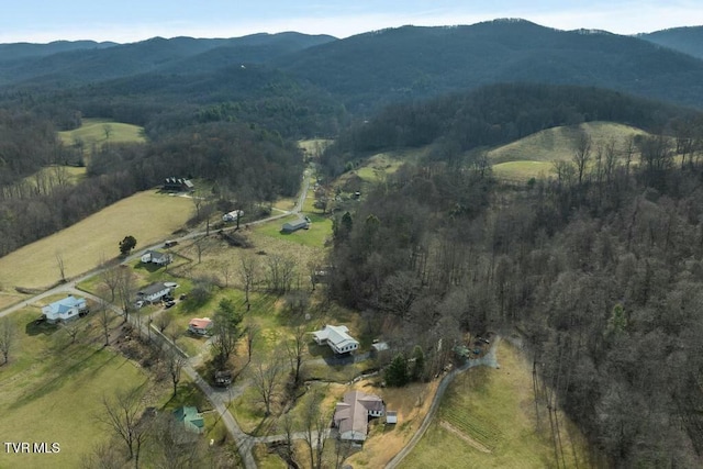 113 Ensor Nidiffer Rd, Elizabethton, TN 37643 - photo 30