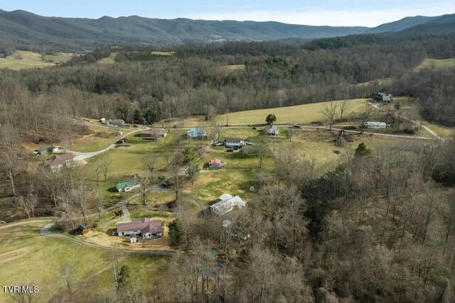 113 Ensor Nidiffer Rd, Elizabethton, TN 37643 - photo 33