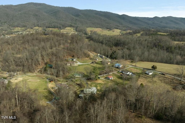 113 Ensor Nidiffer Rd, Elizabethton, TN 37643 - photo 34