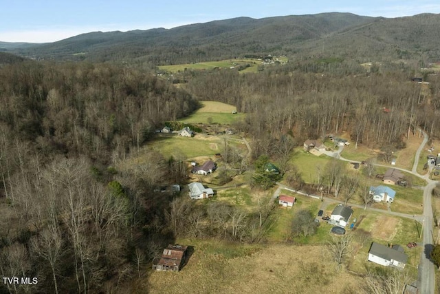 113 Ensor Nidiffer Rd, Elizabethton, TN 37643 - photo 35