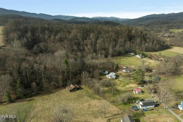 113 Ensor Nidiffer Rd, Elizabethton, TN 37643 - photo 36