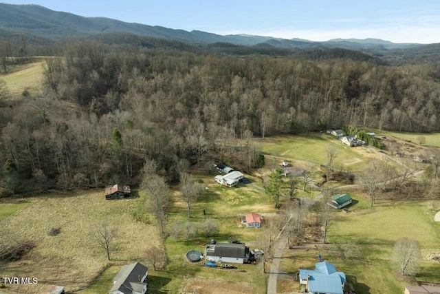 113 Ensor Nidiffer Rd, Elizabethton, TN 37643 - photo 37