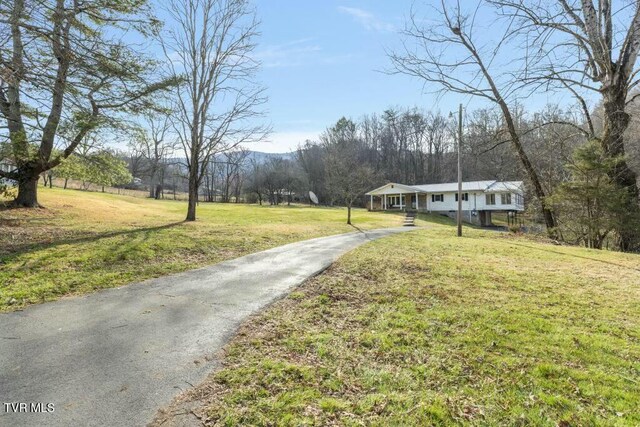 113 Ensor Nidiffer Rd, Elizabethton, TN 37643 - photo 56