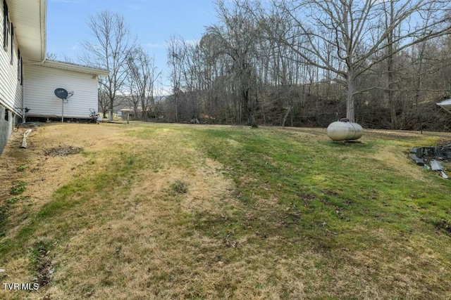 113 Ensor Nidiffer Rd, Elizabethton, TN 37643 - photo 61