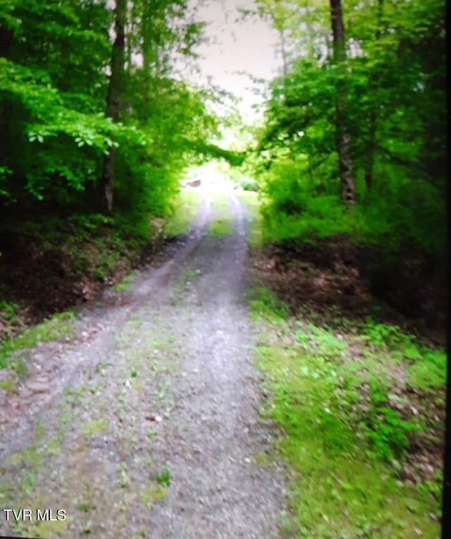 699 Morrell Creek Ln, Bluff City, TN 37618