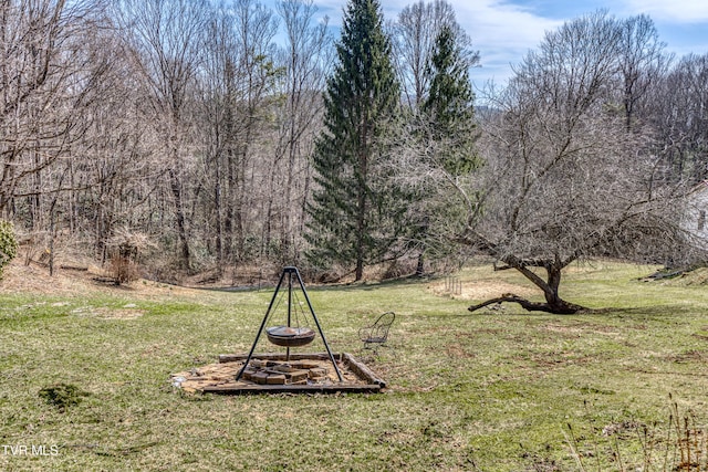 view of yard with a fire pit