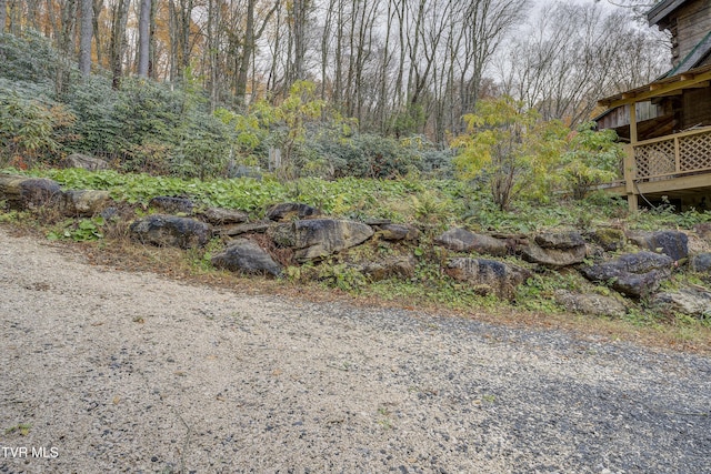 368 Ripshin Lake Rd, Roan Mountain, TN 37687 - view of yard