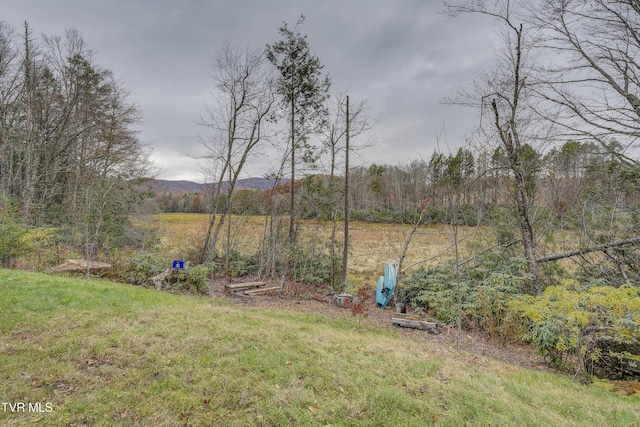 368 Ripshin Lake Rd, Roan Mountain, TN 37687 - view of grassy yard featuring a mountain view