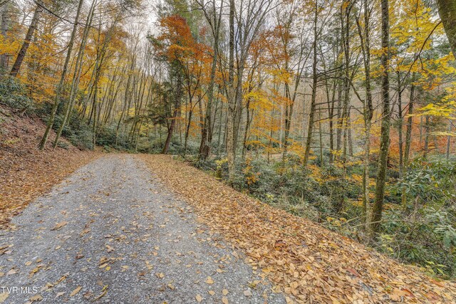 368 Ripshin Lake Rd, Roan Mountain, TN 37687 - view of street with a view of trees