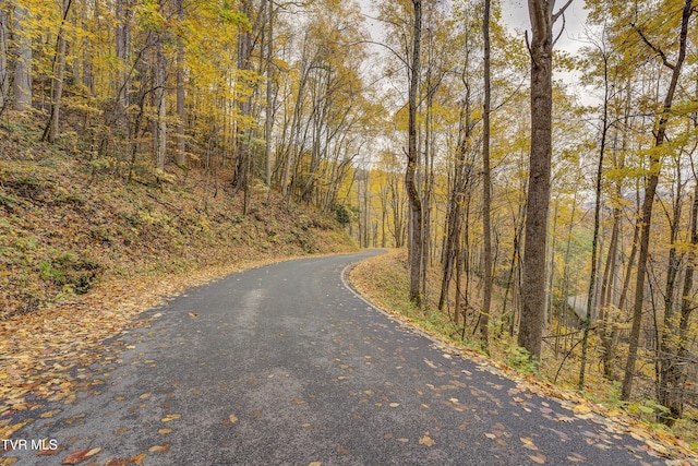 368 Ripshin Lake Rd, Roan Mountain, TN 37687 - view of street with a wooded view