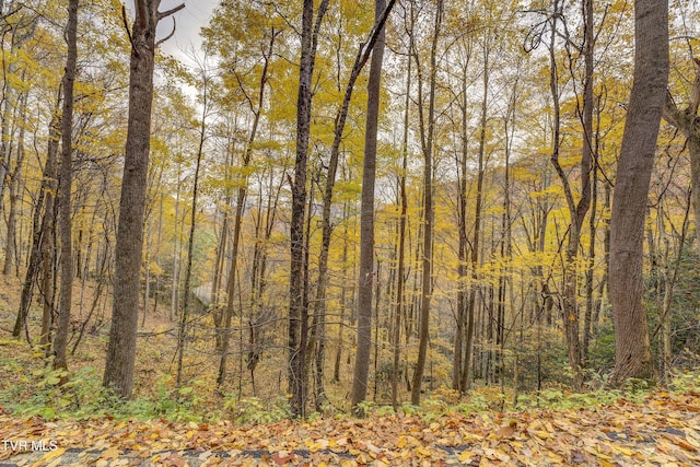 368 Ripshin Lake Rd, Roan Mountain, TN 37687 - view of tree filled area