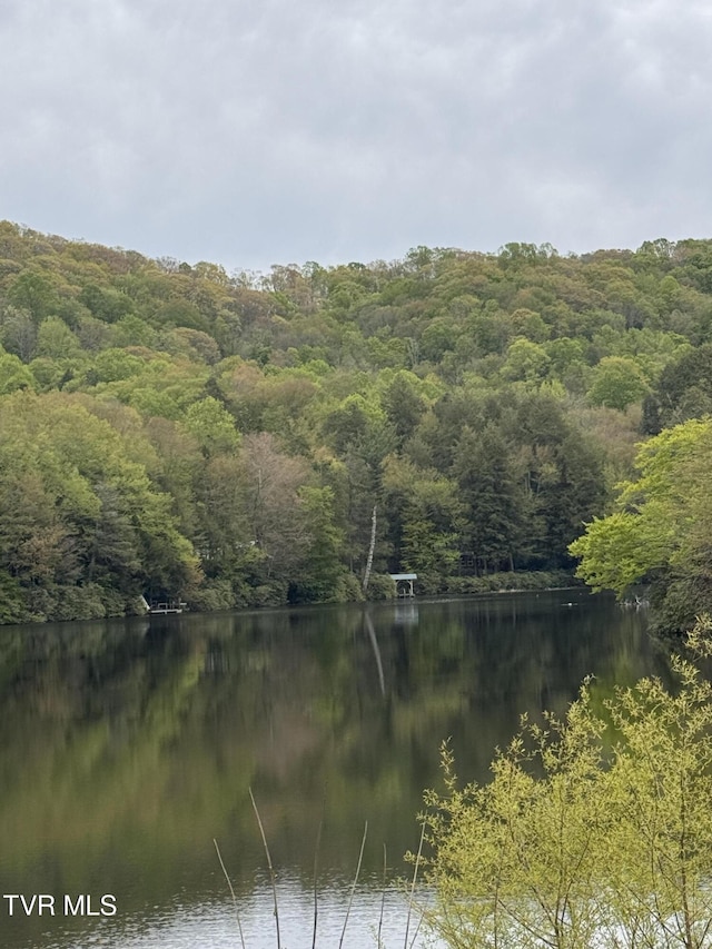 368 Ripshin Lake Rd, Roan Mountain, TN 37687 - water view with a heavily wooded area