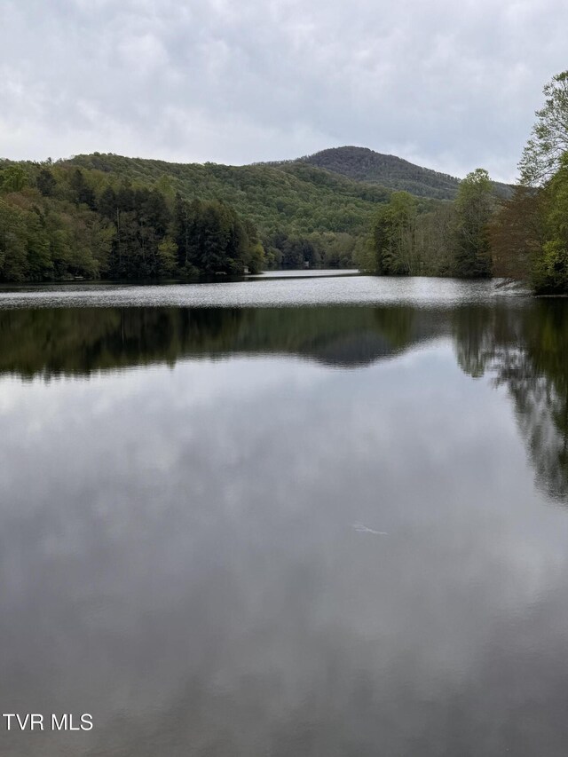 368 Ripshin Lake Rd, Roan Mountain, TN 37687 - water view featuring a heavily wooded area