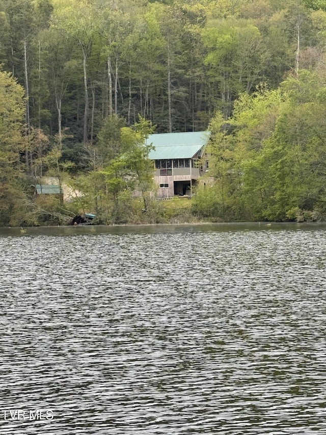 368 Ripshin Lake Rd, Roan Mountain, TN 37687 - water view featuring a forest