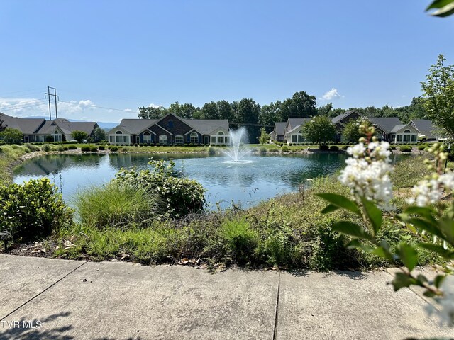 1620 Hatterdale Farm Rd Unit 1620, Blountville, TN 37617 - photo 10