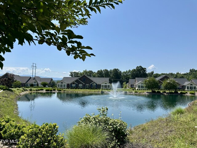 1620 Hatterdale Farm Rd Unit 1620, Blountville, TN 37617 - photo 4