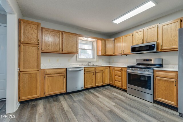 kitchen featuring light wood-type flooring, stainless steel appliances, light countertops, and a sink