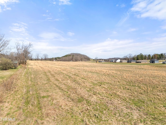 LOT21 Greenwood Rd, Afton, TN 37616 - photo 13