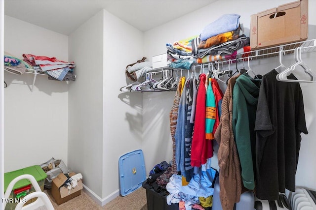 walk in closet with carpet flooring