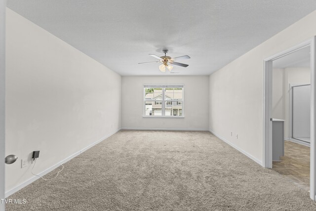 1363 Raccoon Ln, Piney Flats, TN 37686 - photo 16