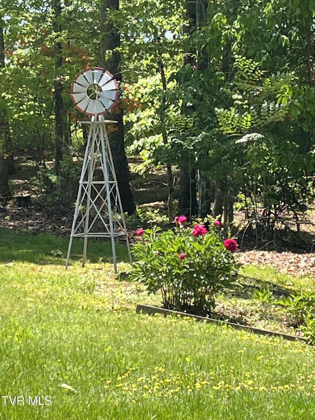 12226 Sands Rd, Coeburn, VA 24230 - view of yard