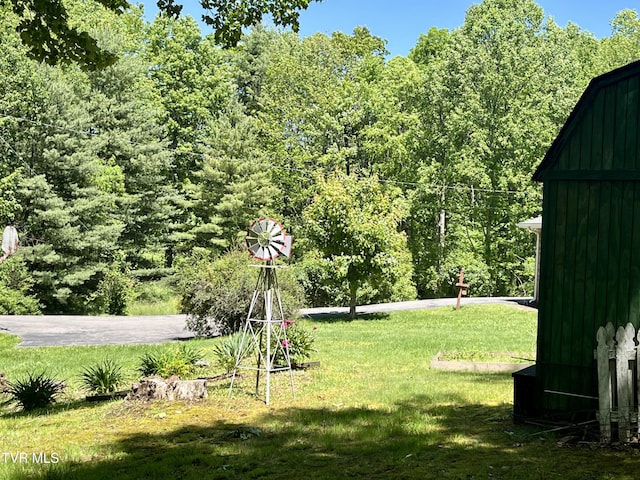 12226 Sands Rd, Coeburn, VA 24230 - view of green lawn