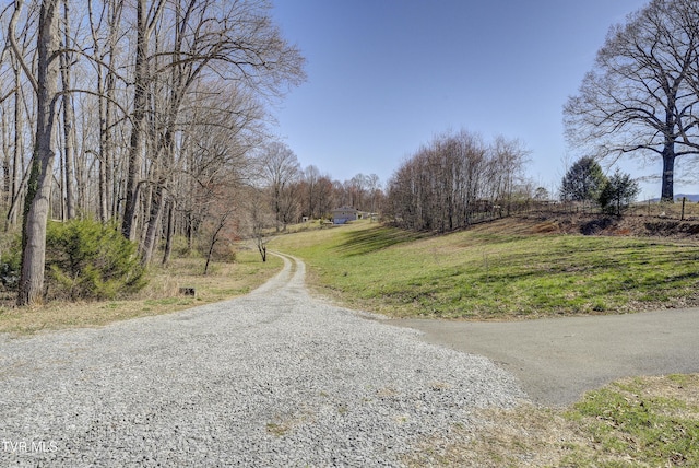 137 Unaka View Rd, Johnson City, TN 37601 - view of street with driveway