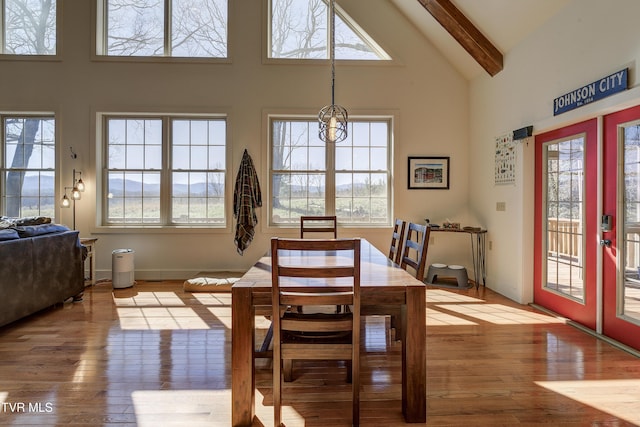 137 Unaka View Rd, Johnson City, TN 37601 - dining space with beam ceiling, high vaulted ceiling, a healthy amount of sunlight, and light wood-style flooring