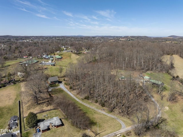 137 Unaka View Rd, Johnson City, TN 37601 - drone / aerial view with a rural view