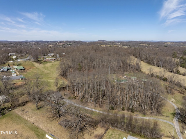 137 Unaka View Rd, Johnson City, TN 37601 - bird's eye view