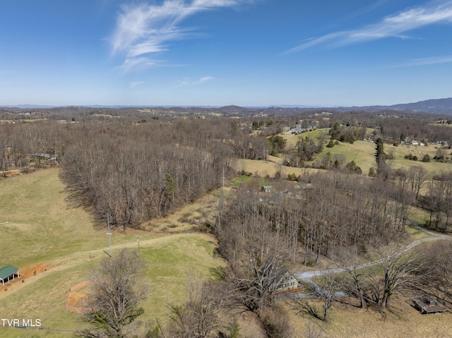 137 Unaka View Rd, Johnson City, TN 37601 - birds eye view of property featuring a rural view and a mountain view