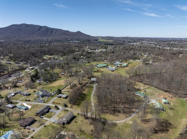 137 Unaka View Rd, Johnson City, TN 37601 - bird's eye view with a mountain view