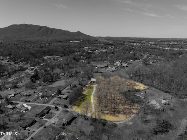 137 Unaka View Rd, Johnson City, TN 37601 - birds eye view of property with a mountain view