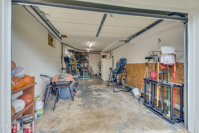 garage featuring freestanding refrigerator
